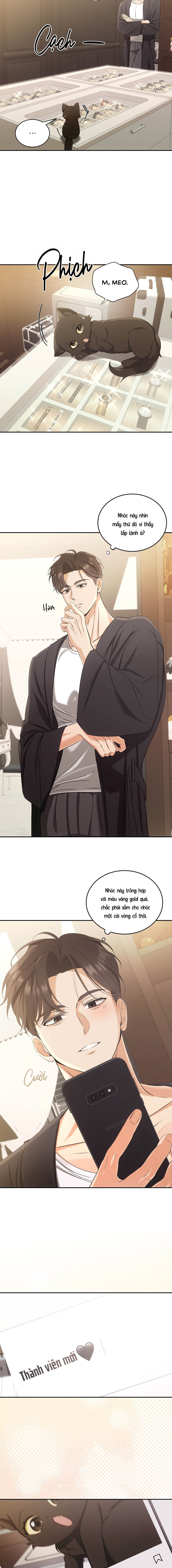 Liệu Pháp Mèo Con - Chap 02