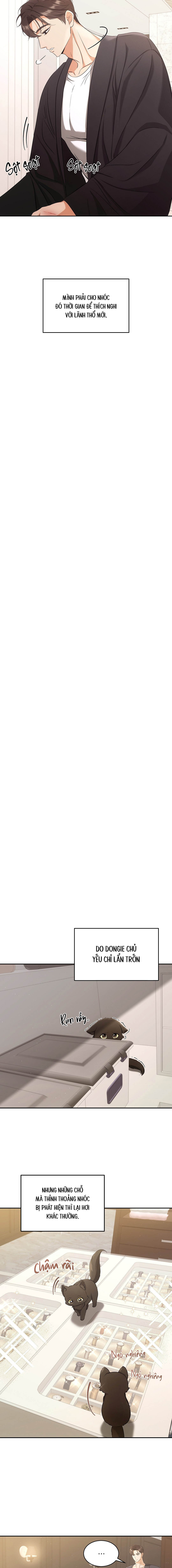 Liệu Pháp Mèo Con - Chap 02