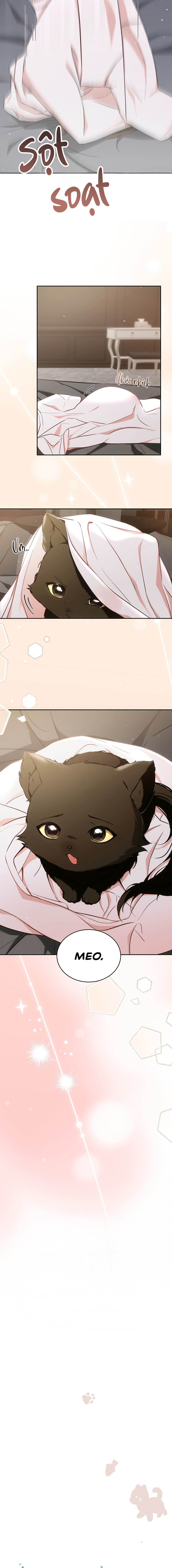 Liệu Pháp Mèo Con - Chap 01