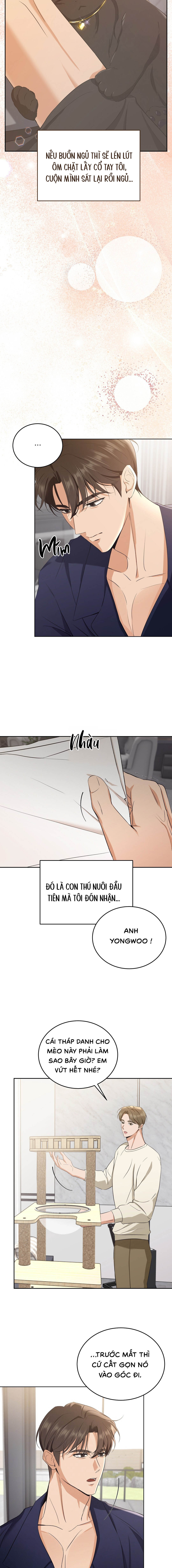 Liệu Pháp Mèo Con - Chap 04