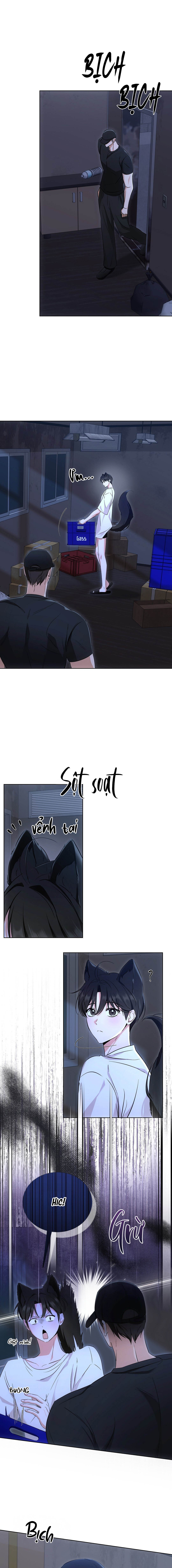 Liệu Pháp Mèo Con - Chap 04