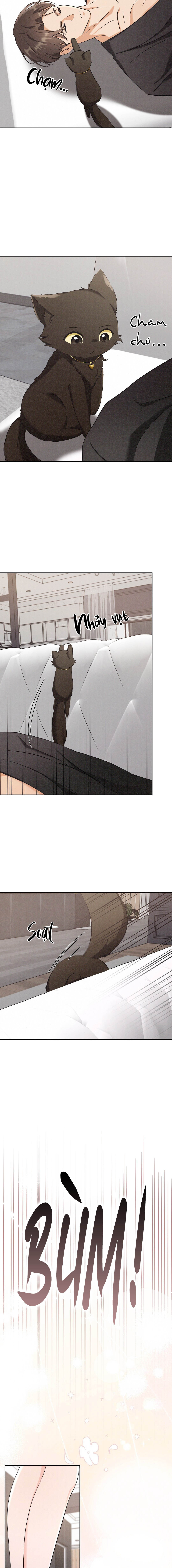 Liệu Pháp Mèo Con - Chap 03
