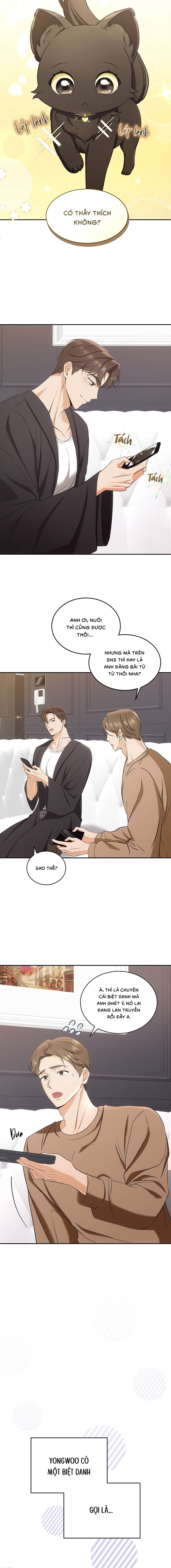 Liệu Pháp Mèo Con - Chap 02