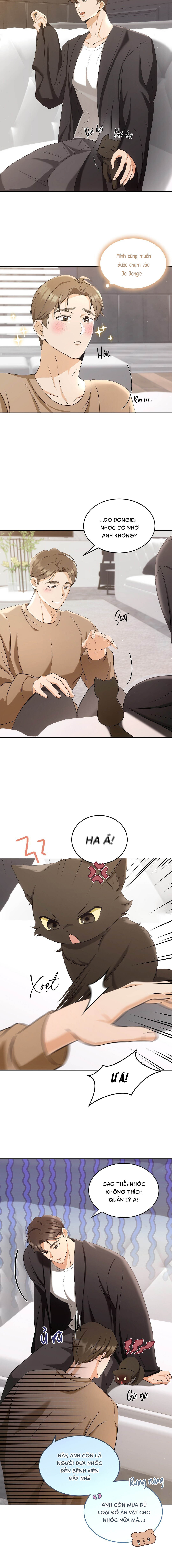 Liệu Pháp Mèo Con - Chap 02