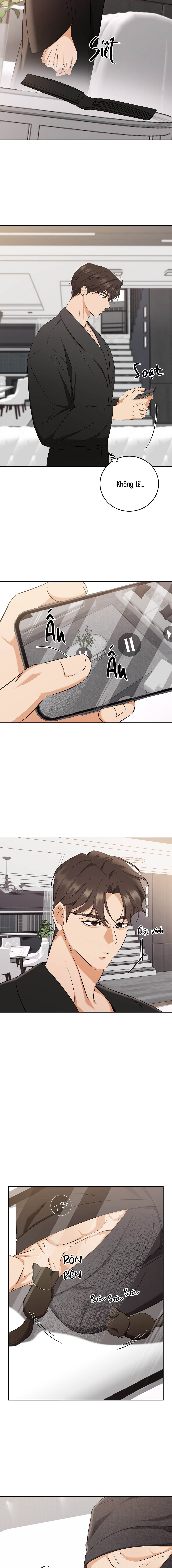 Liệu Pháp Mèo Con - Chap 03