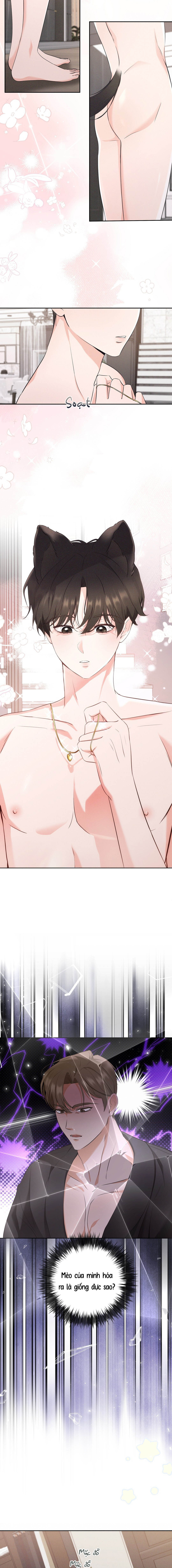 Liệu Pháp Mèo Con - Chap 03