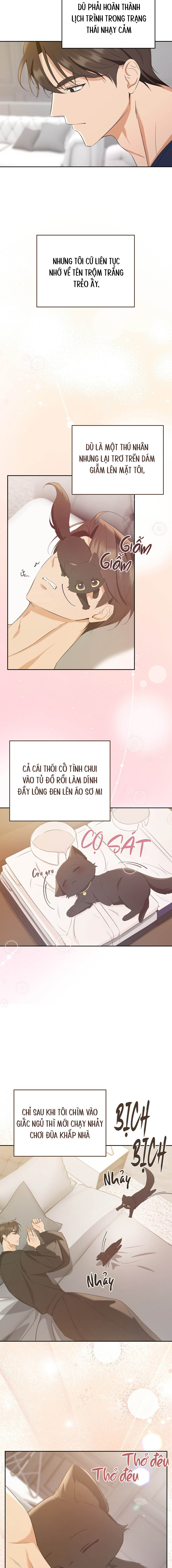 Liệu Pháp Mèo Con - Chap 04