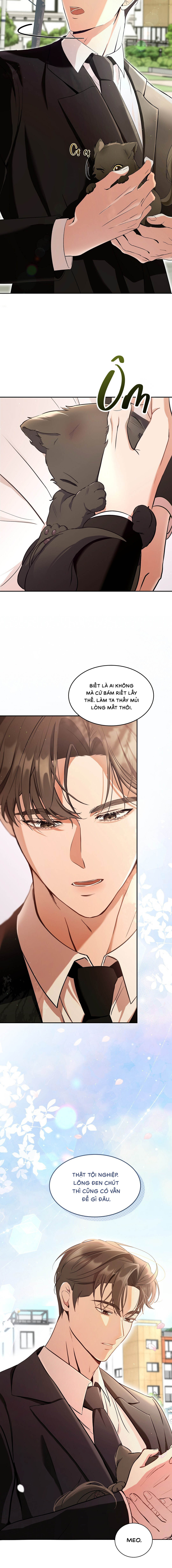 Liệu Pháp Mèo Con - Chap 01