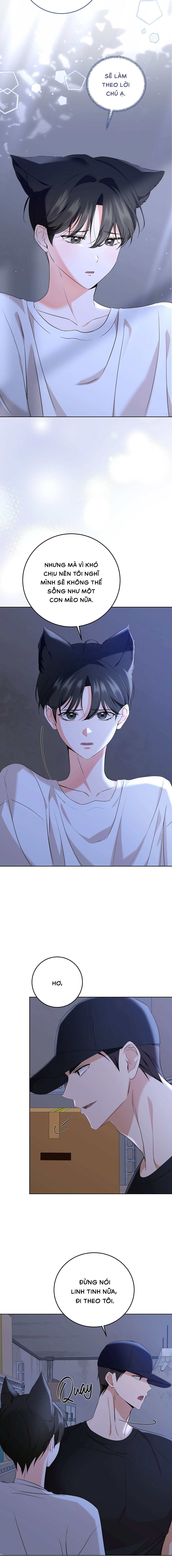 Liệu Pháp Mèo Con - Chap 05