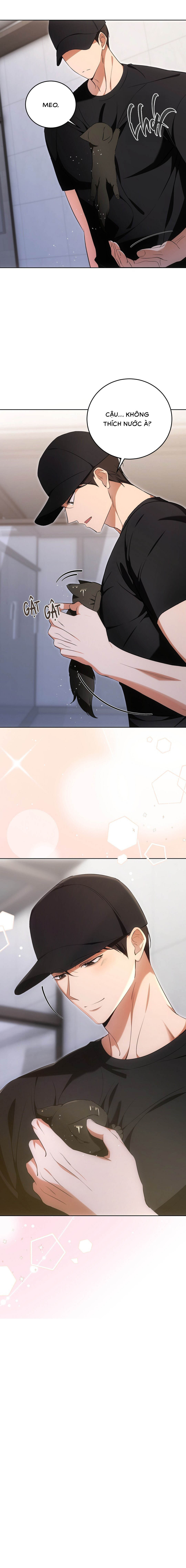 Liệu Pháp Mèo Con - Chap 06