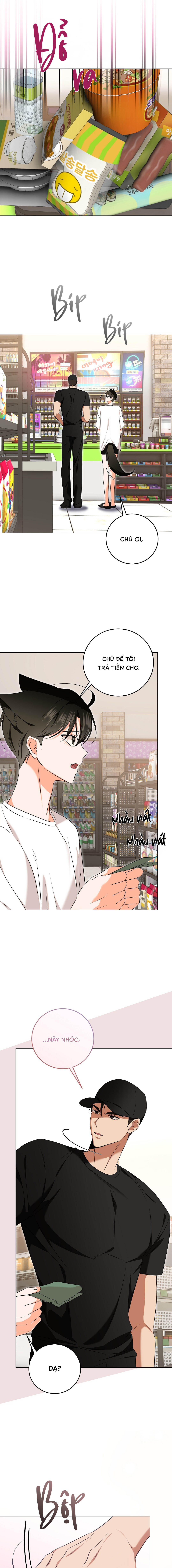 Liệu Pháp Mèo Con - Chap 05