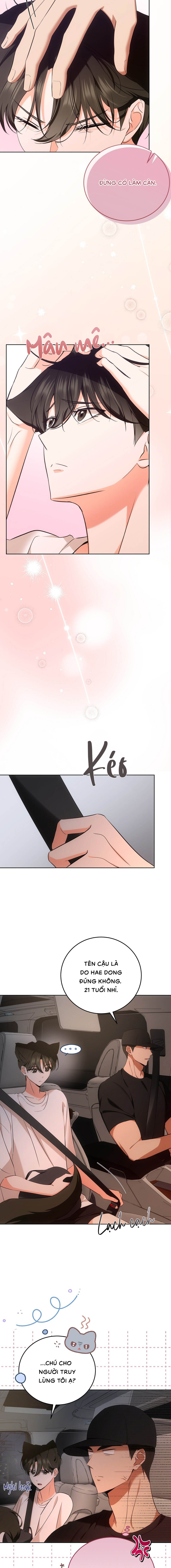 Liệu Pháp Mèo Con - Chap 05