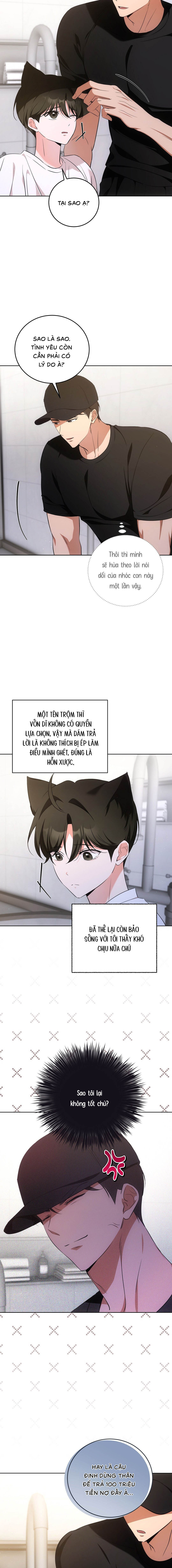 Liệu Pháp Mèo Con - Chap 06