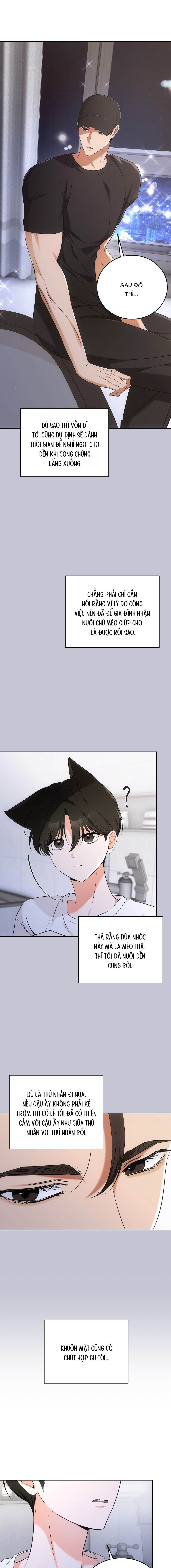 Liệu Pháp Mèo Con - Chap 06