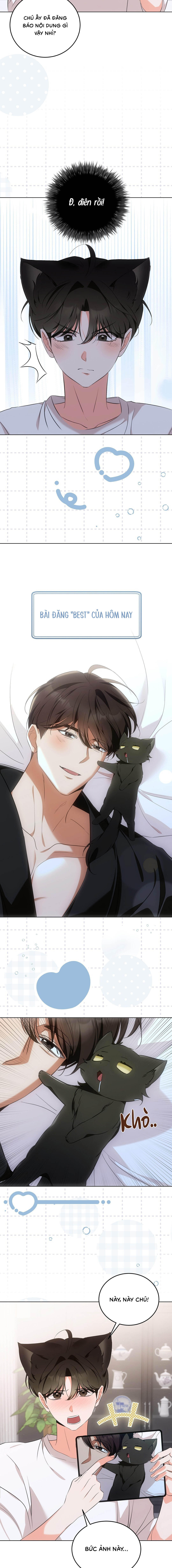 Liệu Pháp Mèo Con - Chap 07