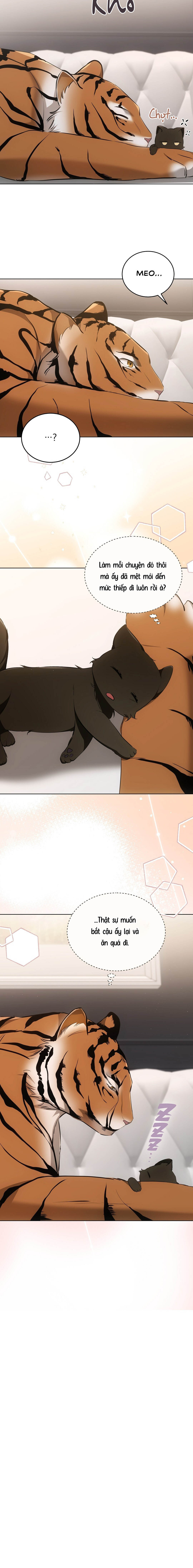 Liệu Pháp Mèo Con - Chap 11