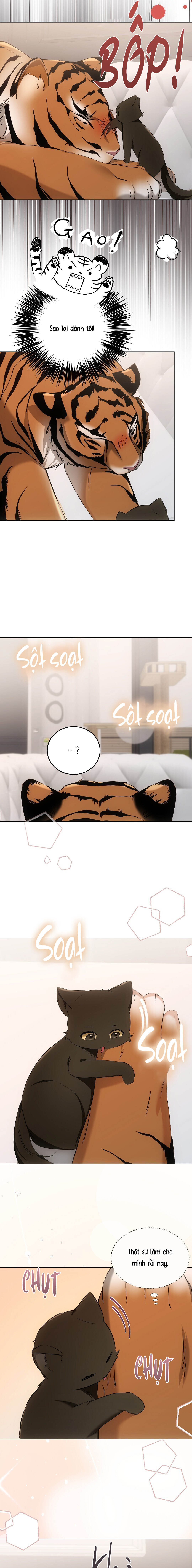 Liệu Pháp Mèo Con - Chap 11