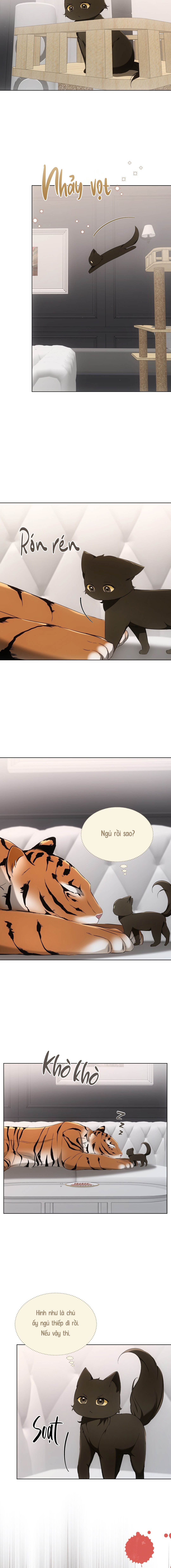 Liệu Pháp Mèo Con - Chap 11