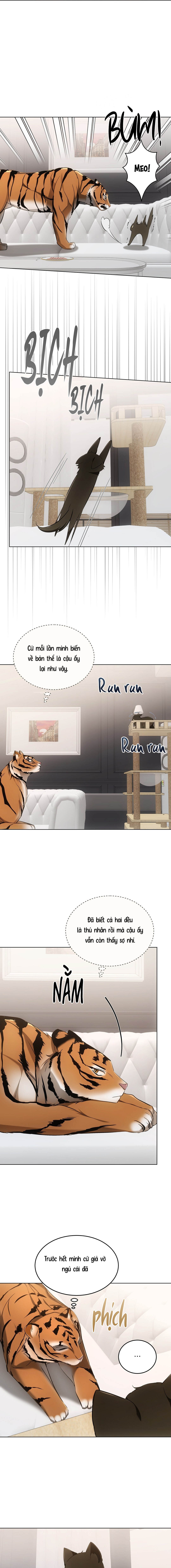 Liệu Pháp Mèo Con - Chap 11