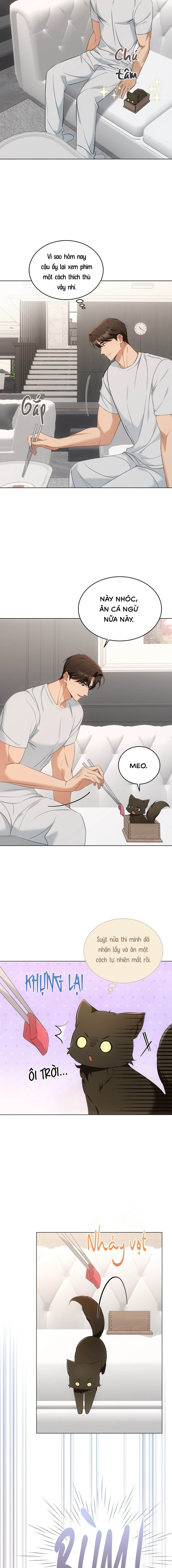 Liệu Pháp Mèo Con - Chap 11