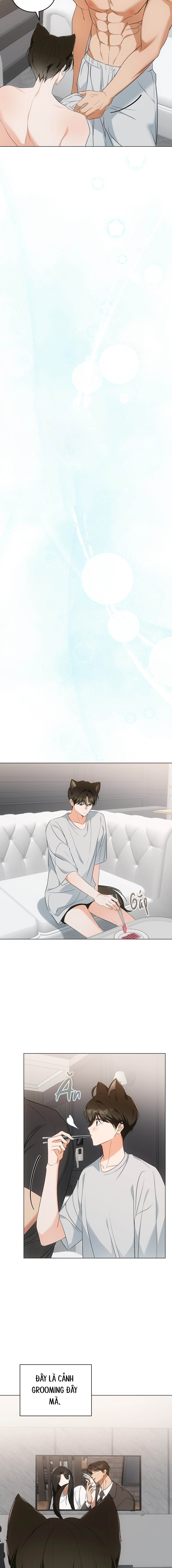 Liệu Pháp Mèo Con - Chap 11