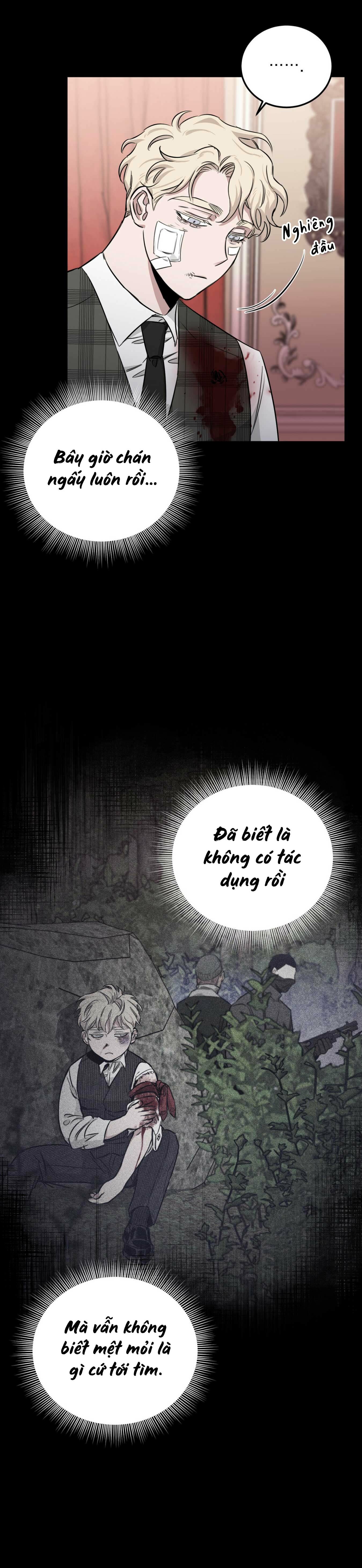 Hoa Hồng Và Rượu Vang - Chap 24