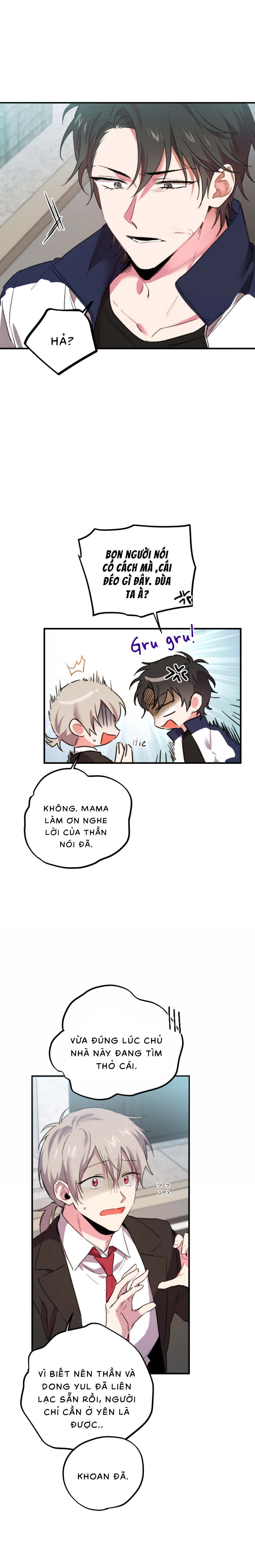 Những Chú Thỏ Của Habibi - Chap 2