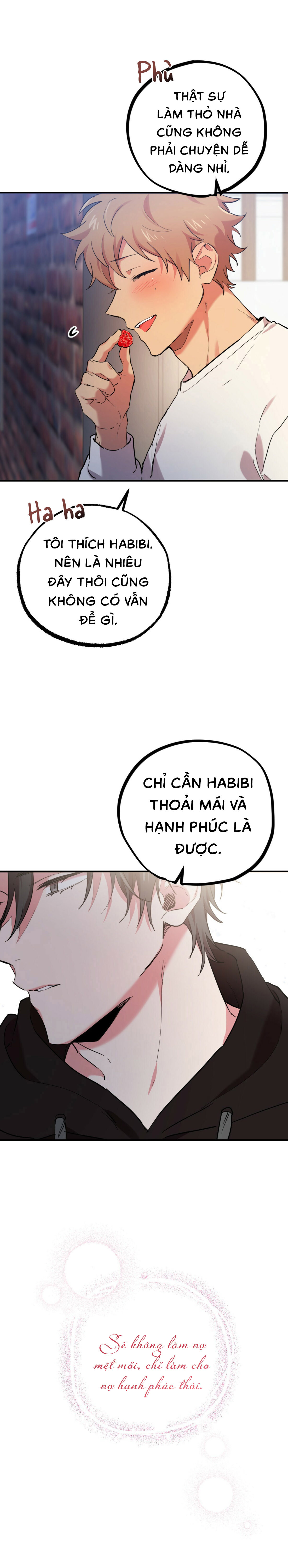 Những Chú Thỏ Của Habibi - Chap 7