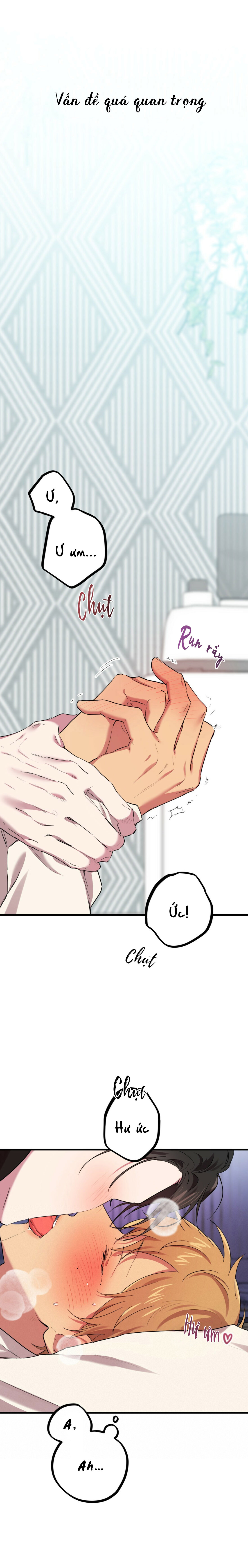 Những Chú Thỏ Của Habibi - Chap 8 (H)