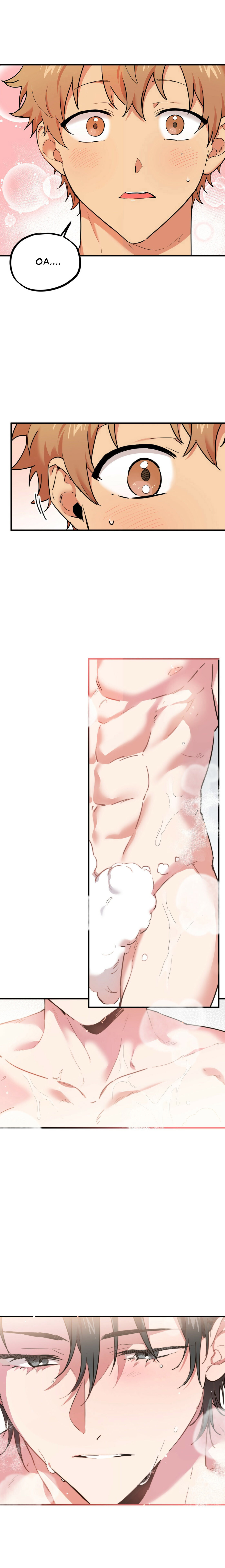 Những Chú Thỏ Của Habibi - Chap 4