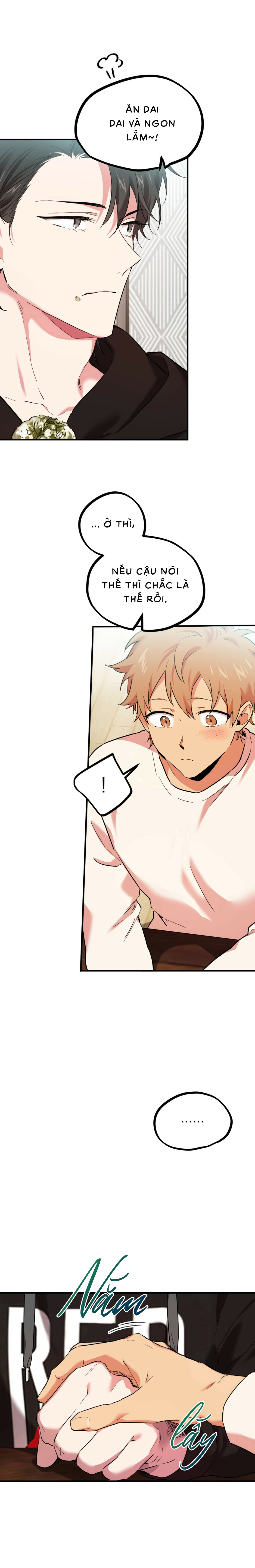 Những Chú Thỏ Của Habibi - Chap 4