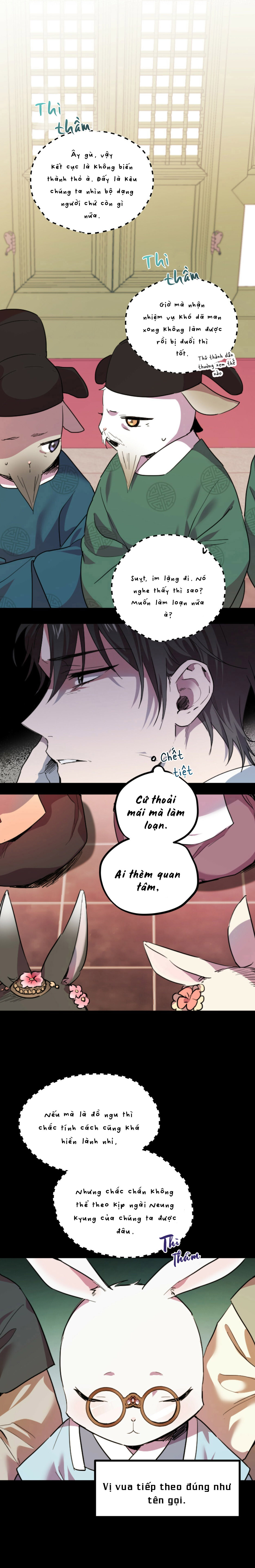 Những Chú Thỏ Của Habibi - Chap 1