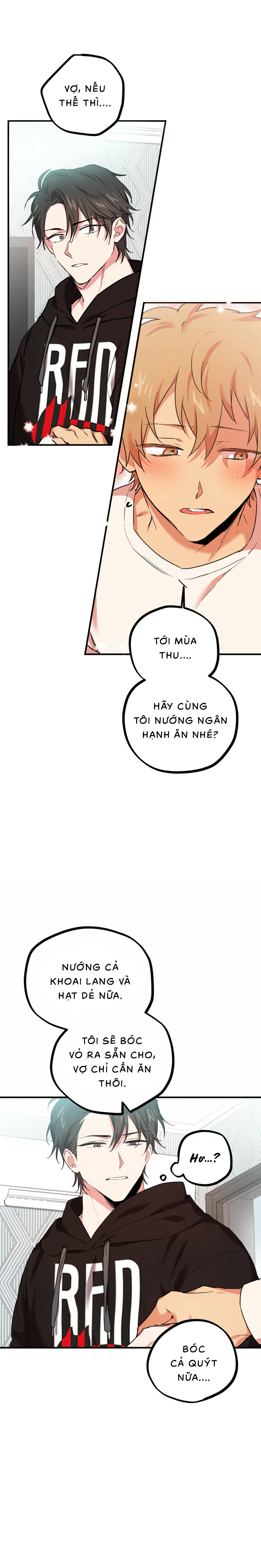 Những Chú Thỏ Của Habibi - Chap 4