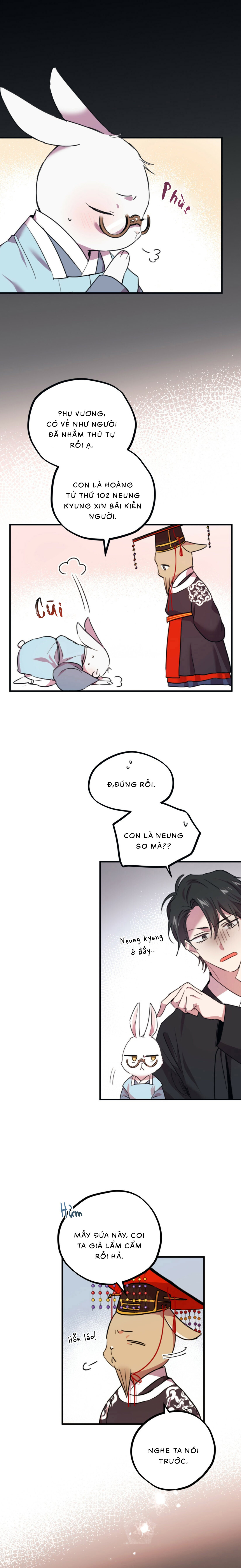 Những Chú Thỏ Của Habibi - Chap 1