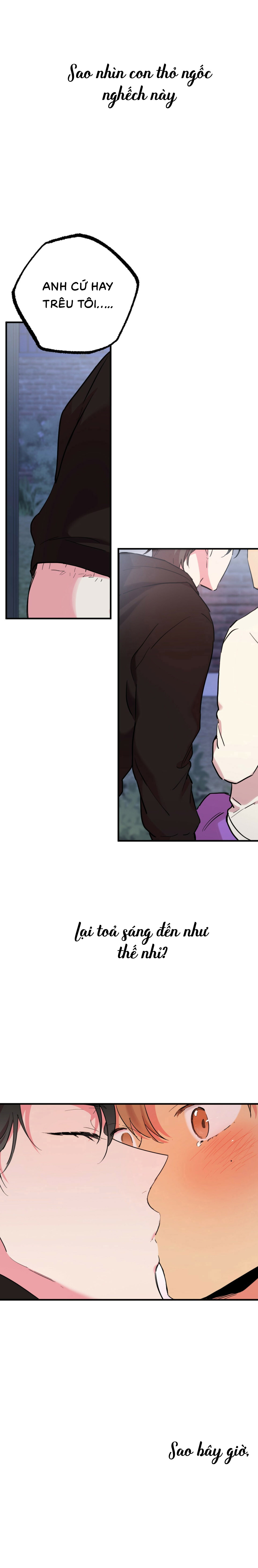 Những Chú Thỏ Của Habibi - Chap 7