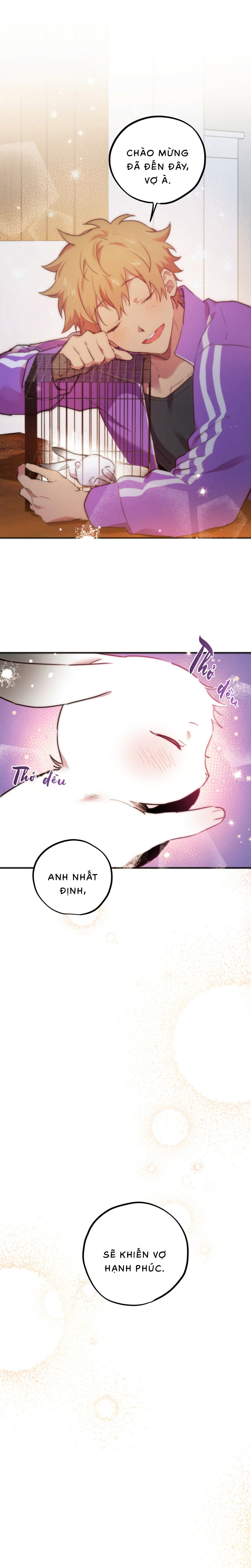 Những Chú Thỏ Của Habibi - Chap 2