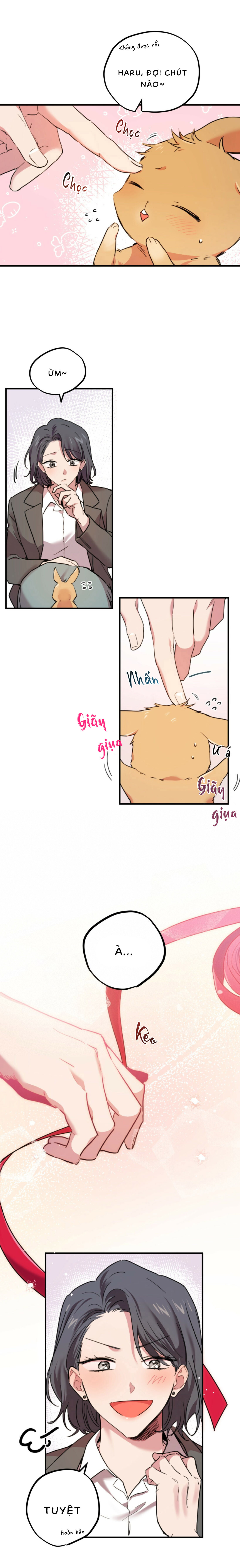 Những Chú Thỏ Của Habibi - Chap 2