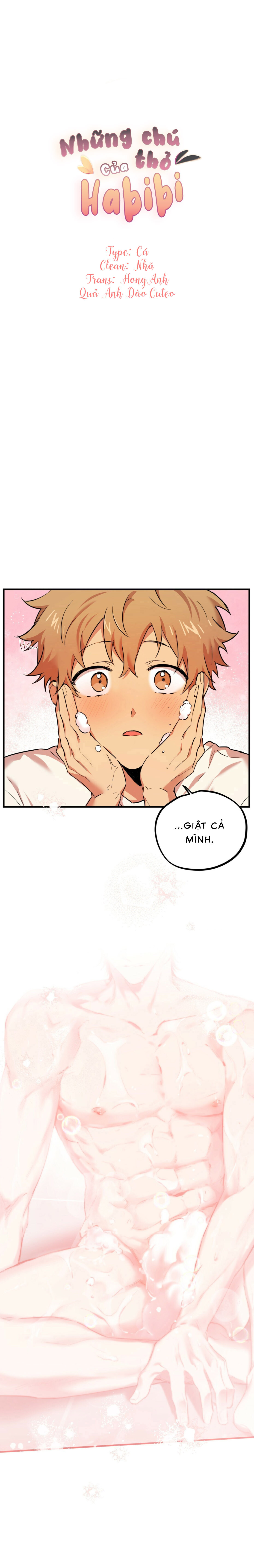 Những Chú Thỏ Của Habibi - Chap 4