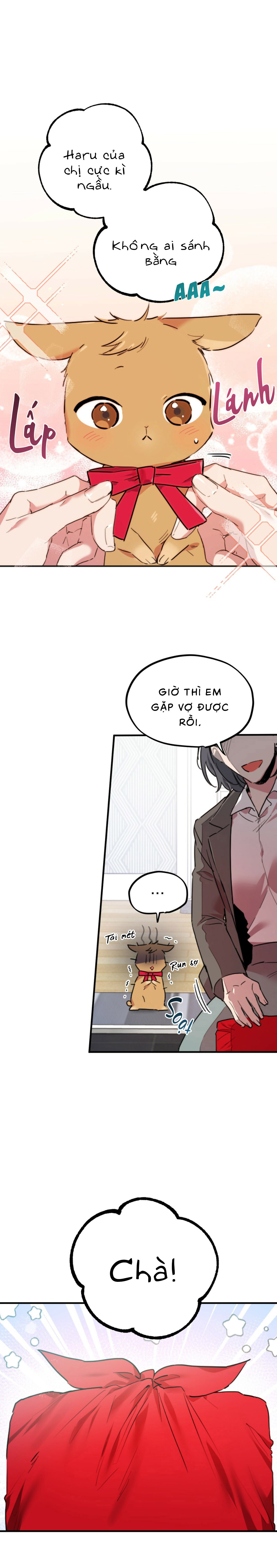 Những Chú Thỏ Của Habibi - Chap 2