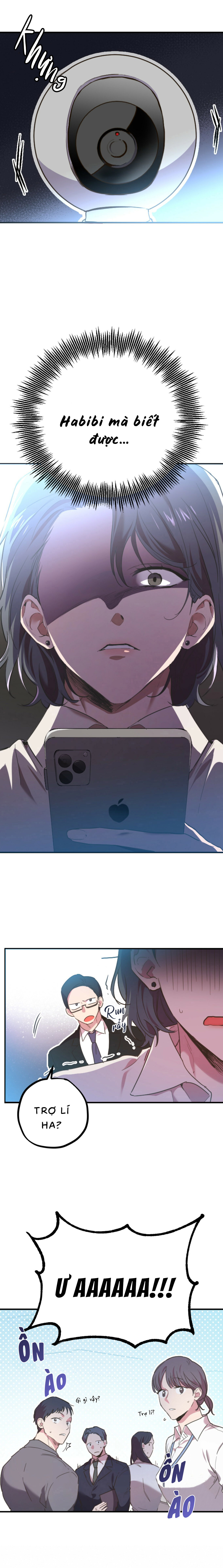 Những Chú Thỏ Của Habibi - Chap 1