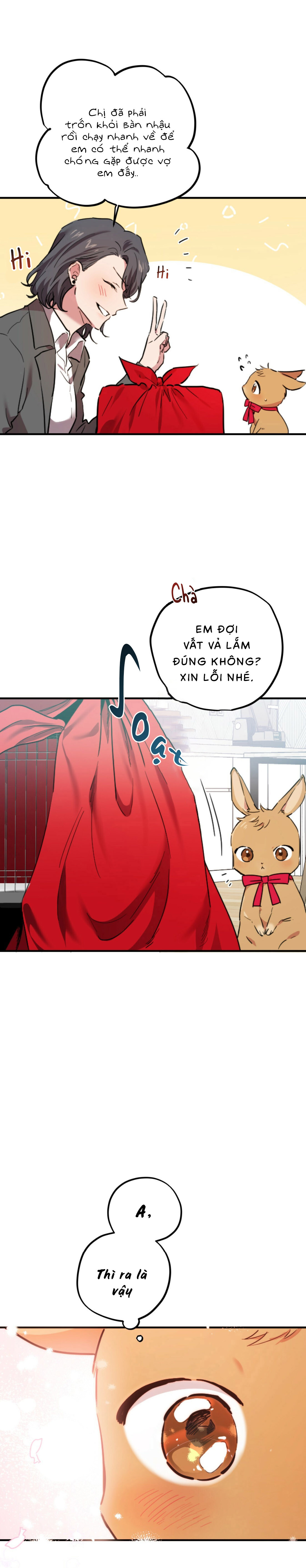 Những Chú Thỏ Của Habibi - Chap 2