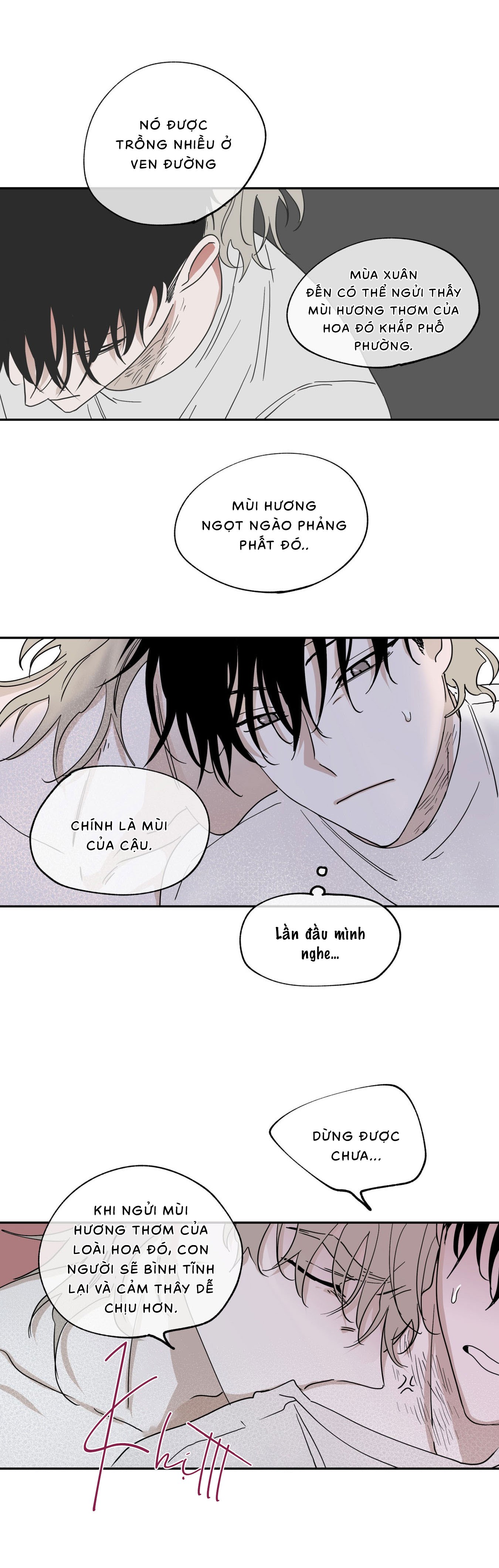 Đêm Bên Bờ Biển - Chap 9