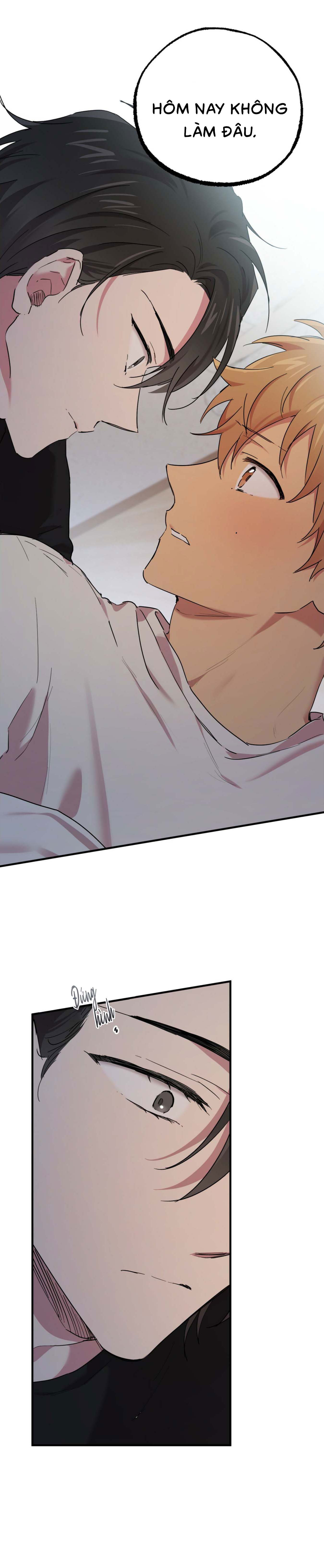 Những Chú Thỏ Của Habibi - Chap 15