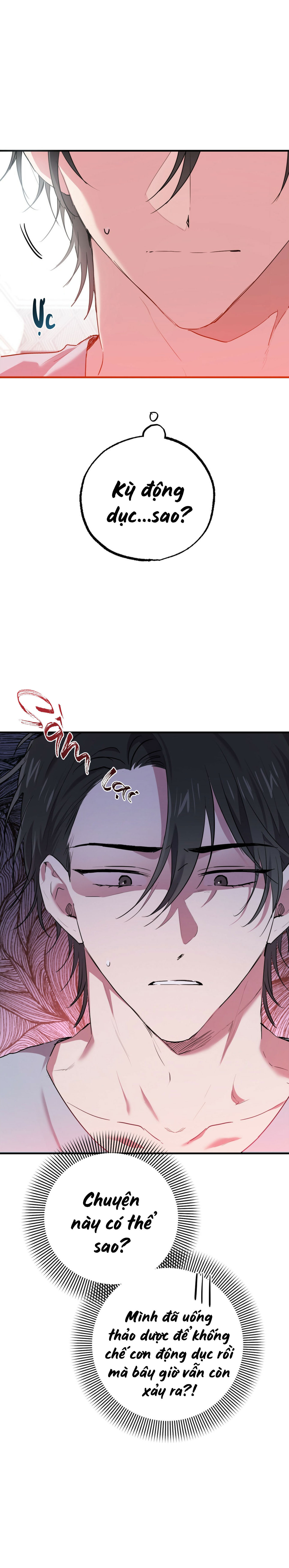 Những Chú Thỏ Của Habibi - Chap 16