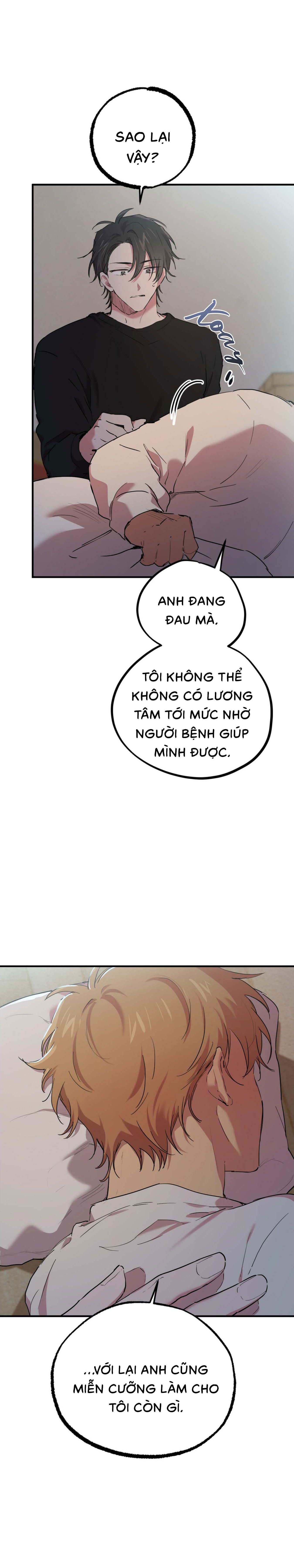 Những Chú Thỏ Của Habibi - Chap 15