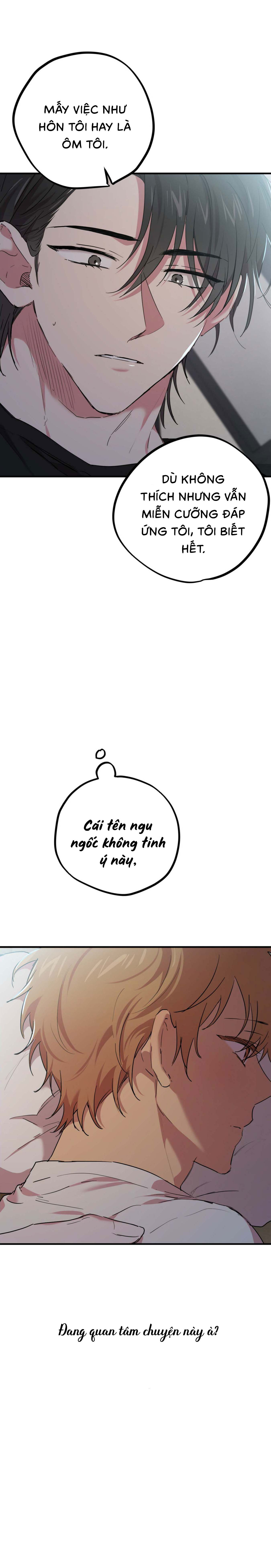 Những Chú Thỏ Của Habibi - Chap 15