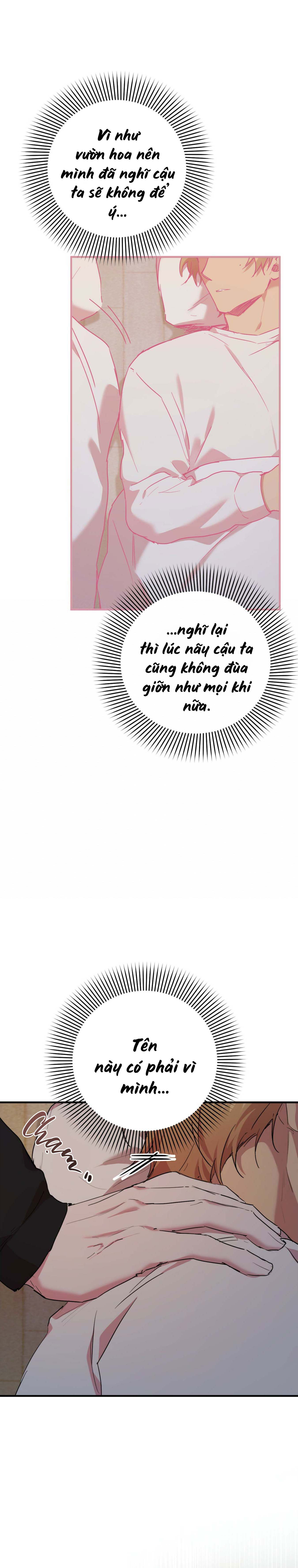 Những Chú Thỏ Của Habibi - Chap 15