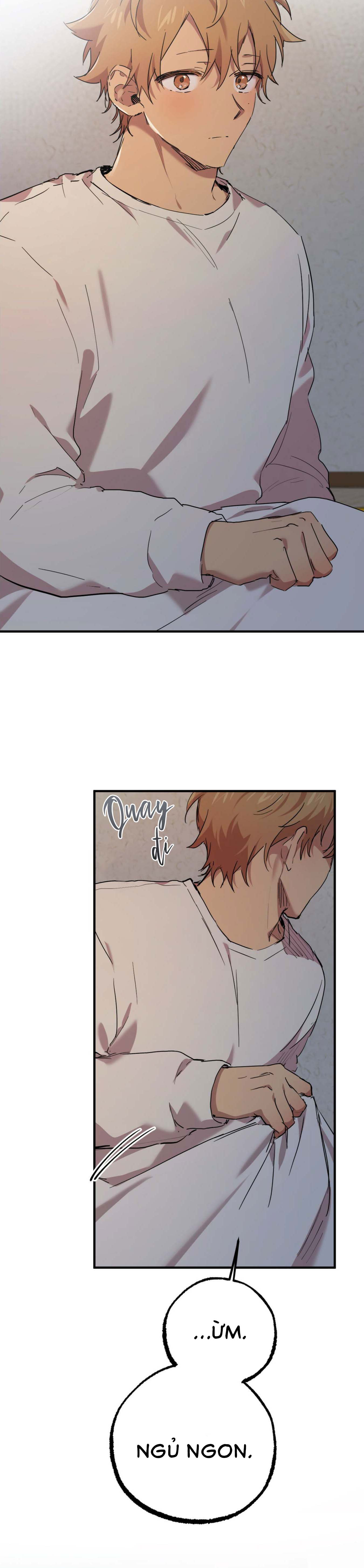 Những Chú Thỏ Của Habibi - Chap 15