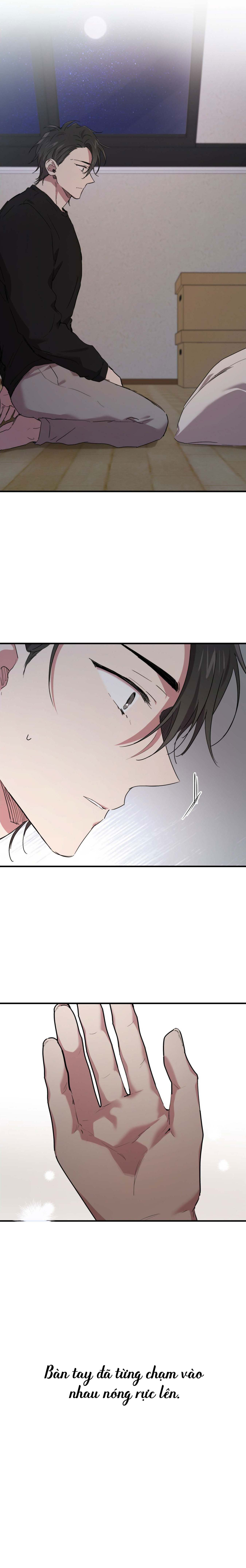 Những Chú Thỏ Của Habibi - Chap 15