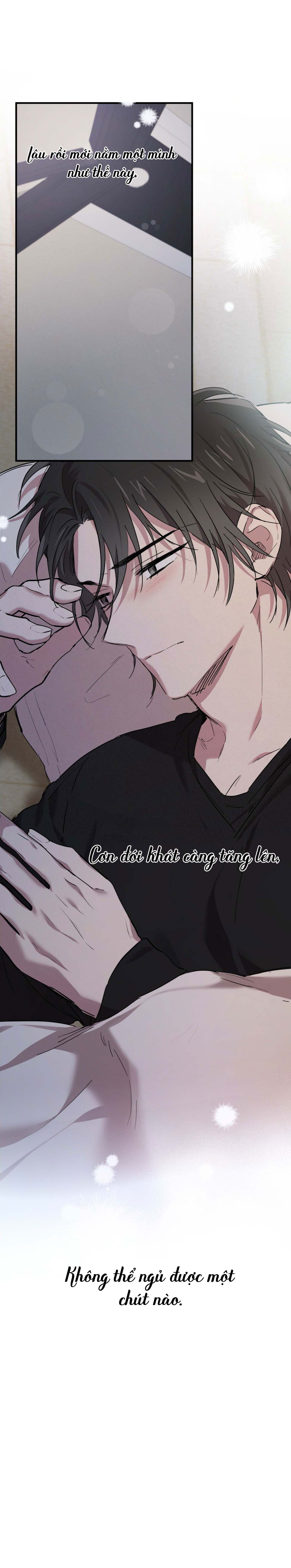 Những Chú Thỏ Của Habibi - Chap 15